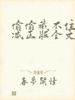 偷偷藏不住无删减正版全文阅读免费