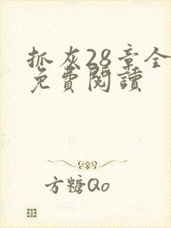 抓灰28章全部免费阅读