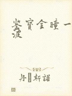 鉴宝金瞳一一杨波