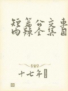 短篇公交车高h肉辣全集目录