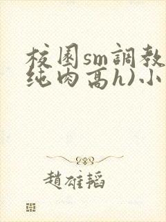 校园sm调教(纯肉高h)小说
