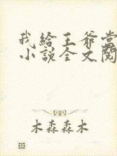 我给王爷当奶娘小说全文阅读