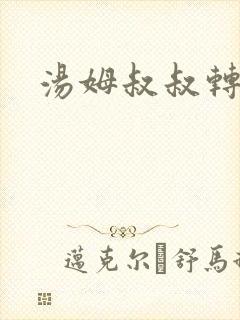 汤姆叔叔转接口