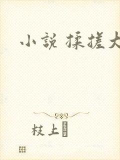小说 揉搓大奶封面