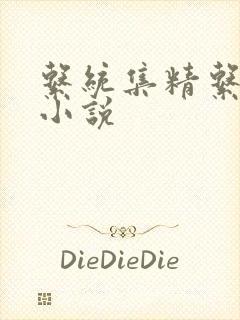 系统集精系统 小说