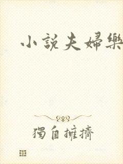 小说夫妇乐园封面