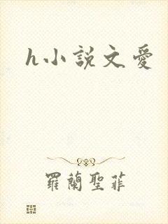 h小说文爱