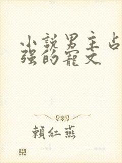 小说男主占有欲强的宠文