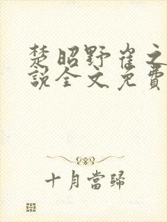 楚昭野崔之棠小说全文免费阅读
