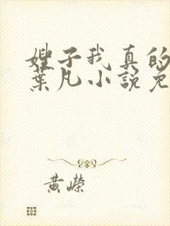 嫂子我真的不傻叶凡小说免费