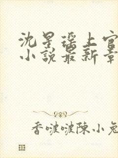 沈星瑶上官容渊小说最新章节列表封面
