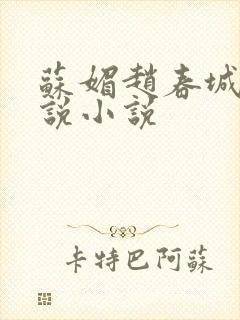 苏媚赵春城的小说小说