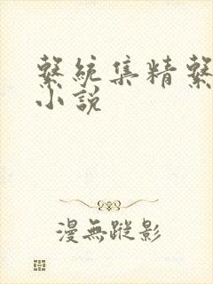 系统集精系统 小说
