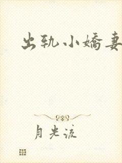 出轨小娇妻