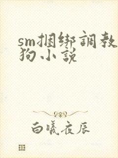 sm捆绑调教母狗小说封面