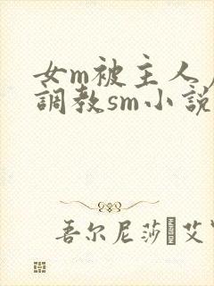 女m被主人虐玩调教sm小说