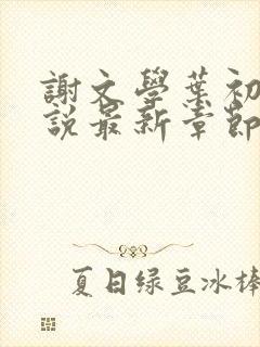 谢文学叶初瑗小说最新章节免费阅读