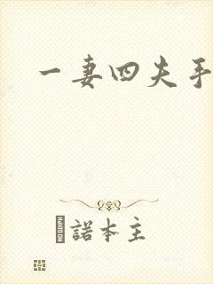 一妻四夫手记封面