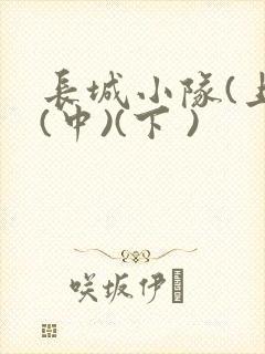 长城小队(上)(中)(下 )封面