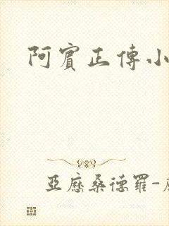 阿宾正传小说