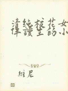 清纯校花女友做伴读生的小说叫什么