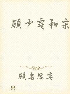 顾少霆和宋斯曼