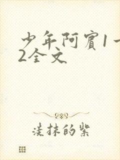 少年阿宾1一72全文