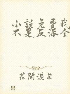 小说免费我真的不是反派全文阅读