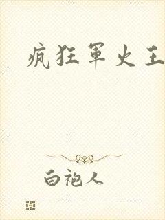 疯狂军火王封面