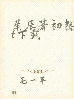 叶辰萧初然txt下载