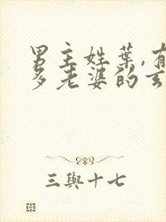 男主姓叶,有很多老婆的玄幻小说
