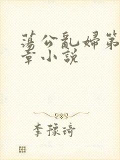 荡公乱妇第51章小说封面
