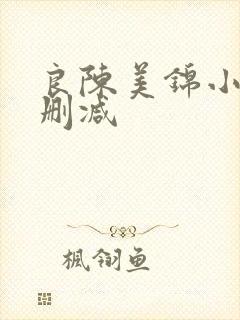 良陈美锦小说无删减