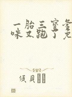 一胎三宝爹地妈咪又跑了免费阅读全文封面