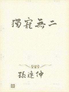 独宠无二封面