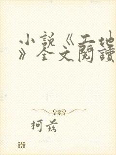 小说《工地王婶》全文阅读免费封面
