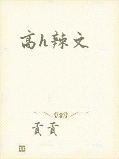 高h辣文