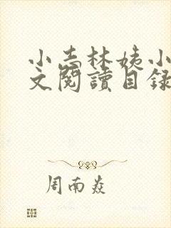小志林姨小说全文阅读目录