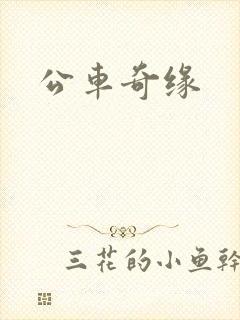 公车奇缘