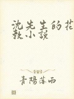 沈先生的花式调教小说