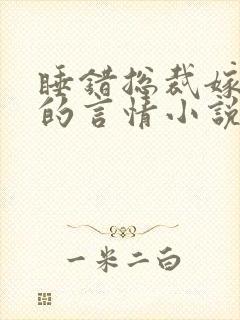 睡错总裁嫁对郎的言情小说免费阅读封面