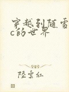 穿越到随处可以c的世界