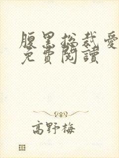 腹黑总裁爱不够免费阅读