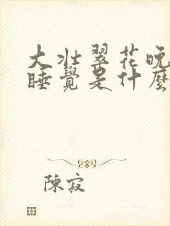 大壮翠花晚上不睡觉是什么电视剧封面