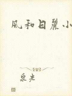 风和日丽小说