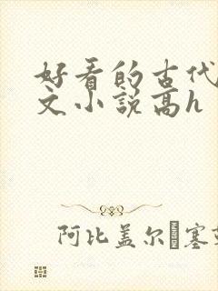 好看的古代调教文小说高h