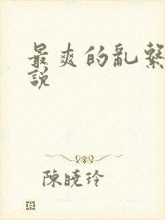 最爽的乱系列小说