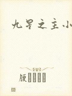 九星之主小说封面