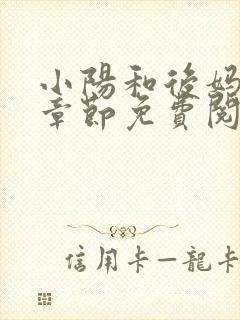 小阳和后妈全部章节免费阅读