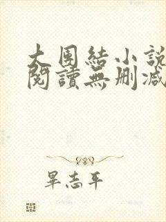 大团结小说在线阅读无删减